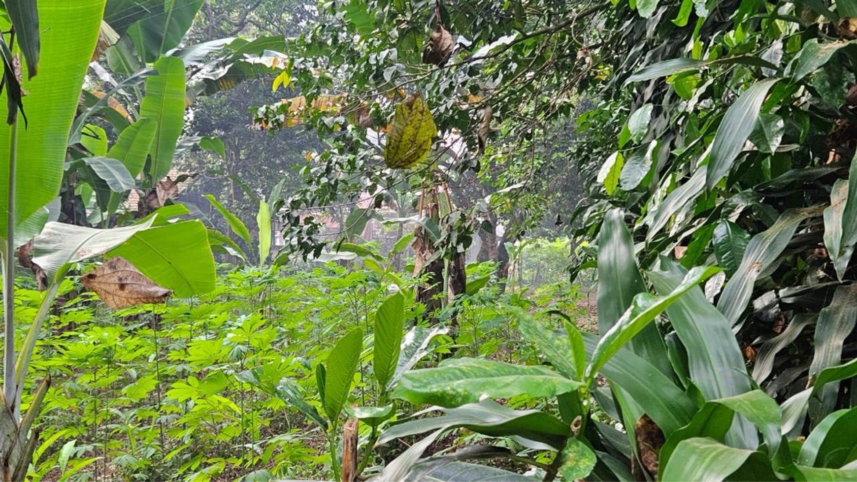 Kavling Siap Bangun Di Komp Permala Rumpin, Bogor Jawa Barat