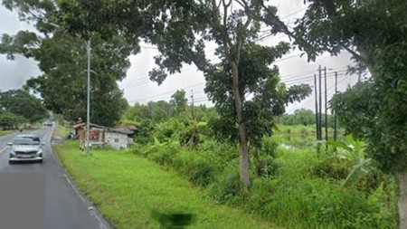 Lahan kosong di Jalan Lintas Sumatera Desa Ragom Kalianda Lampung Selatan