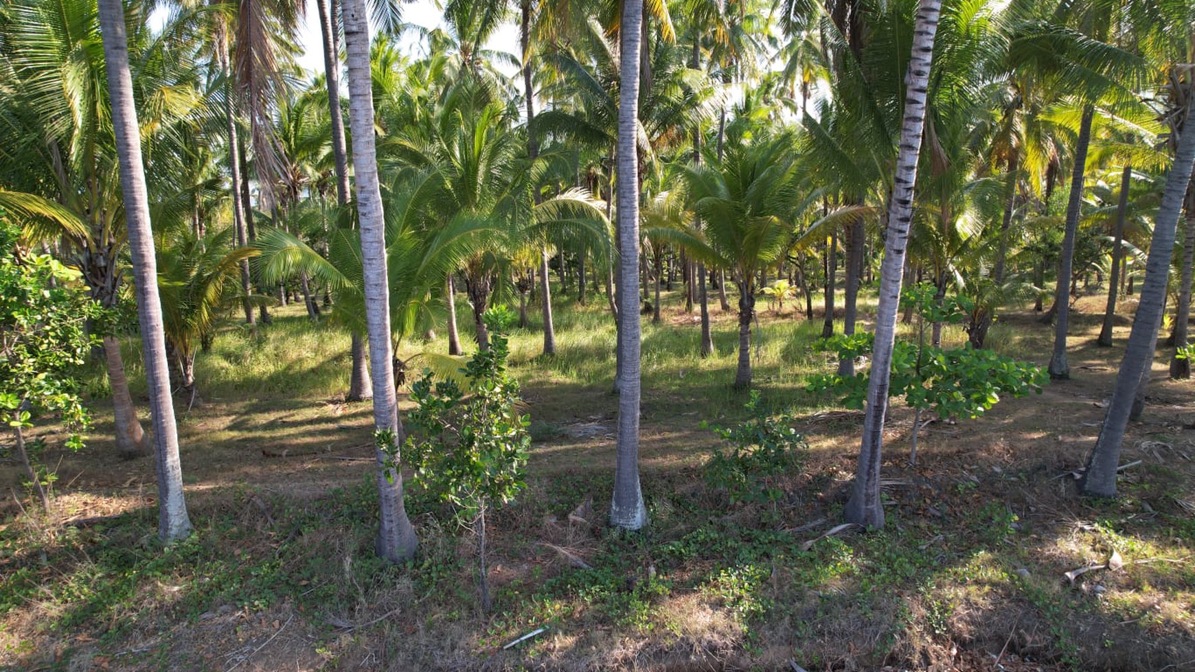 Leasehold - Exclusive Beachfront Land in Tejakula, Buleleng - A Rare Investment Opportunity