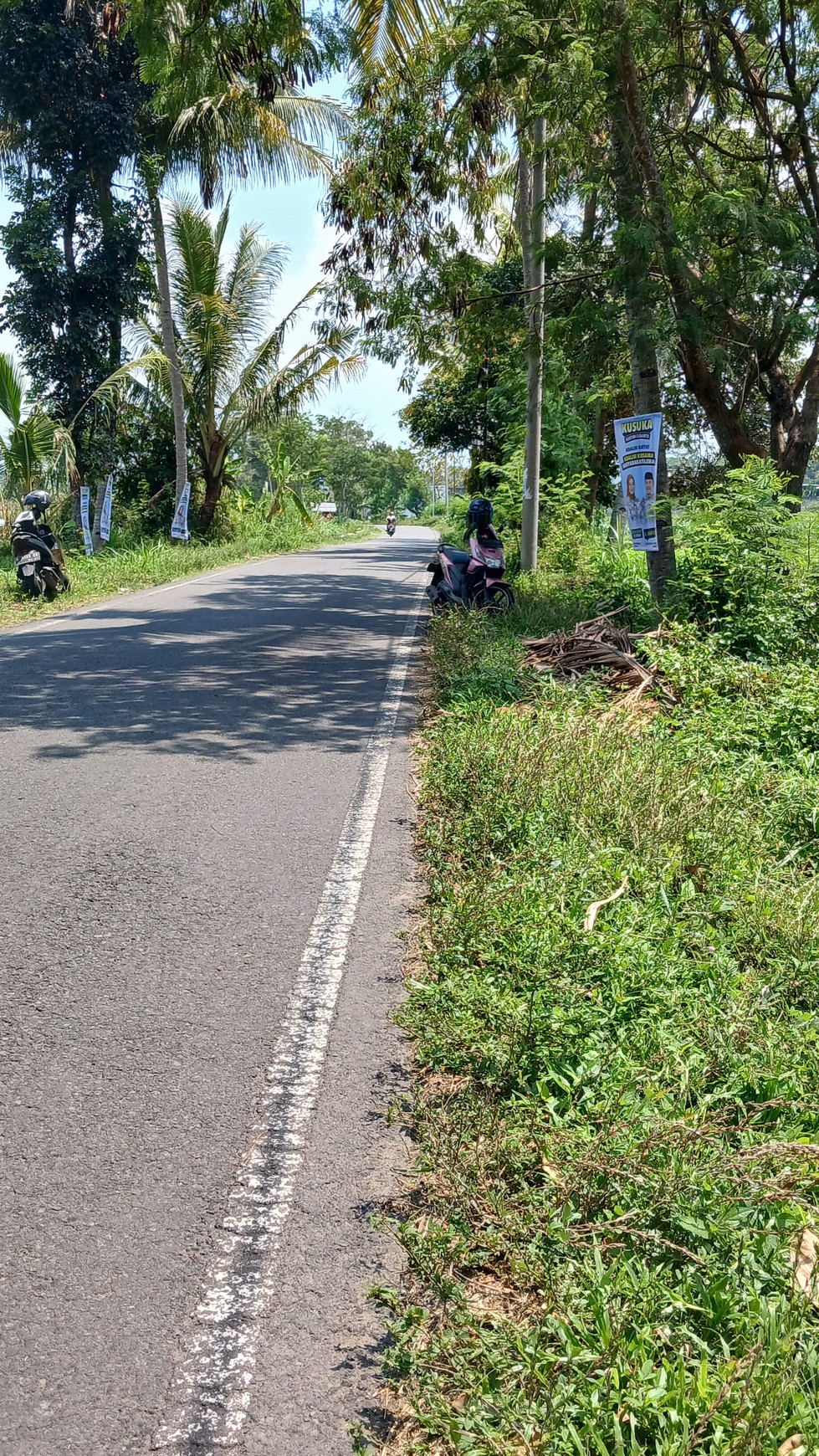 Tanah Sawah 1686 Meter Persegi Lokasi Dekat Candi Prambanan 