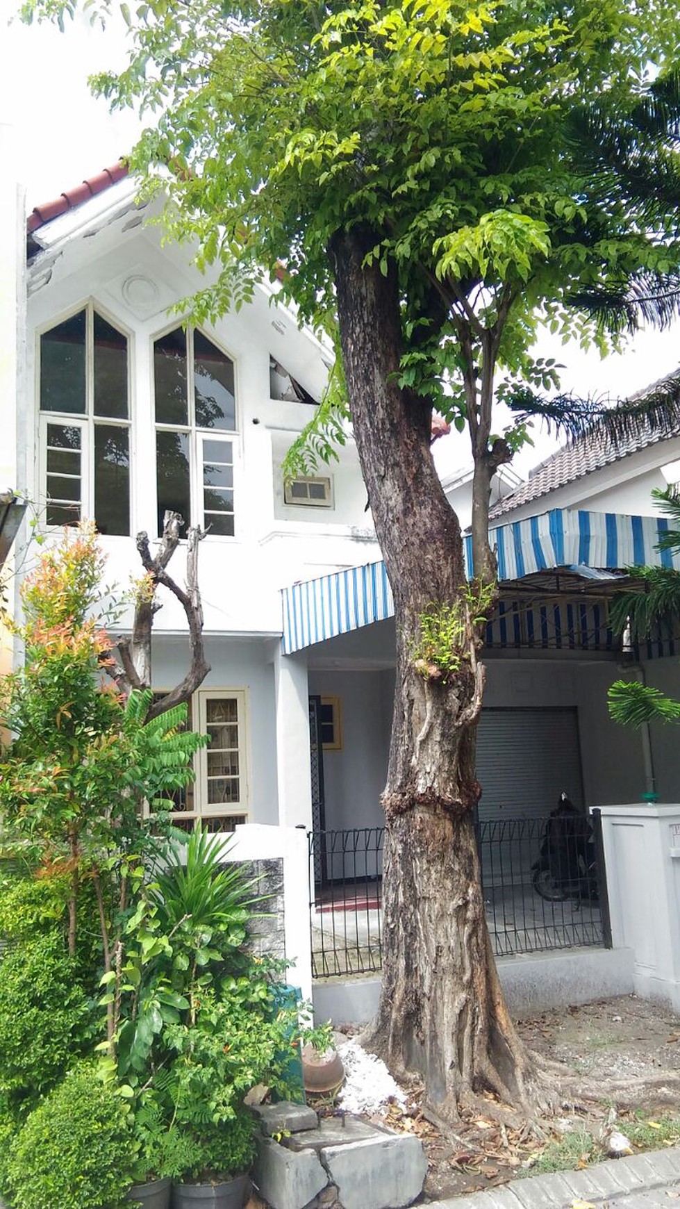 SEWA RUMAH PAKUWON MURAH