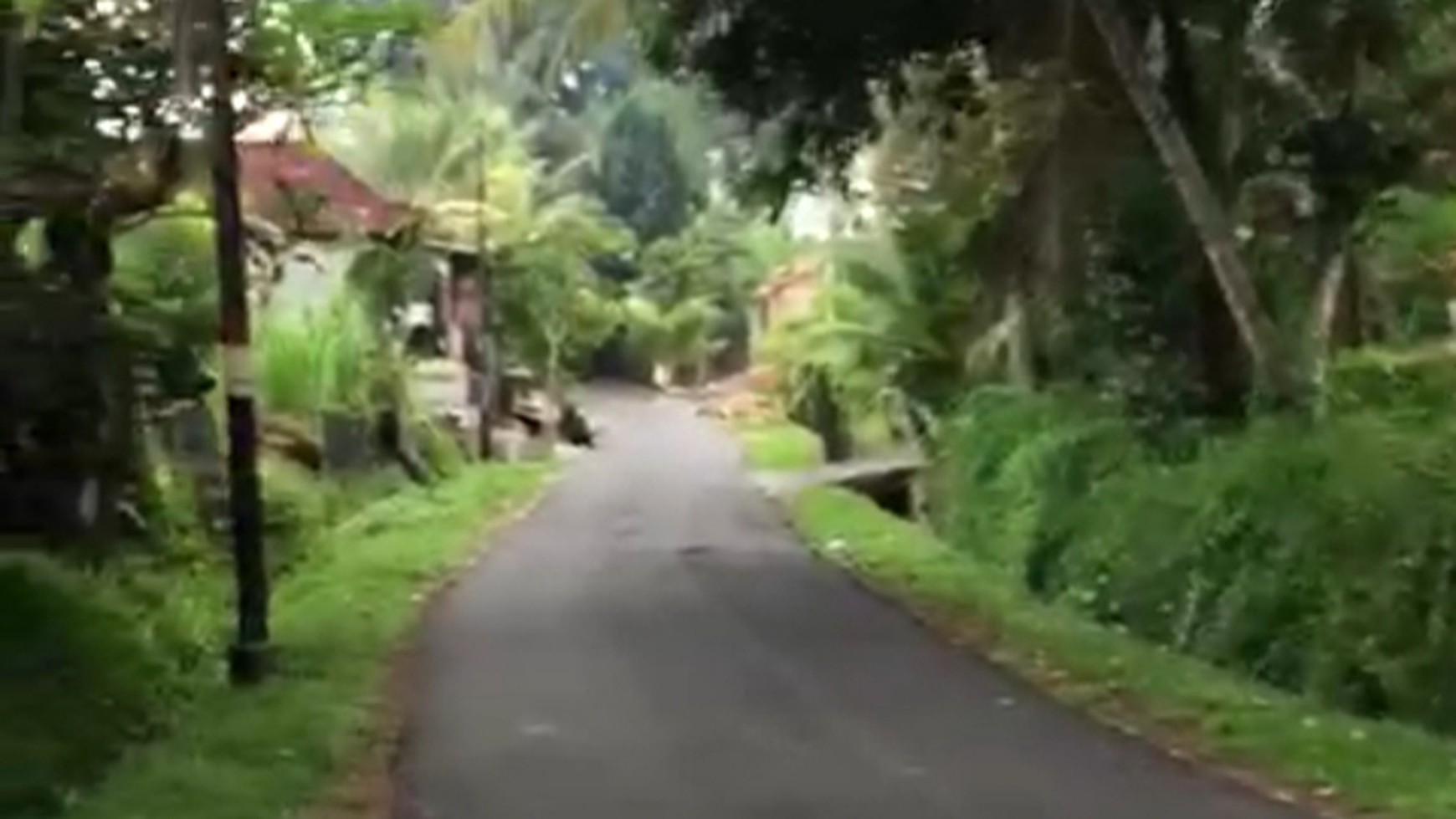 972 Sq m of Freehold Land with Amazing Ricefield Views and River Located Pejeng Ubud