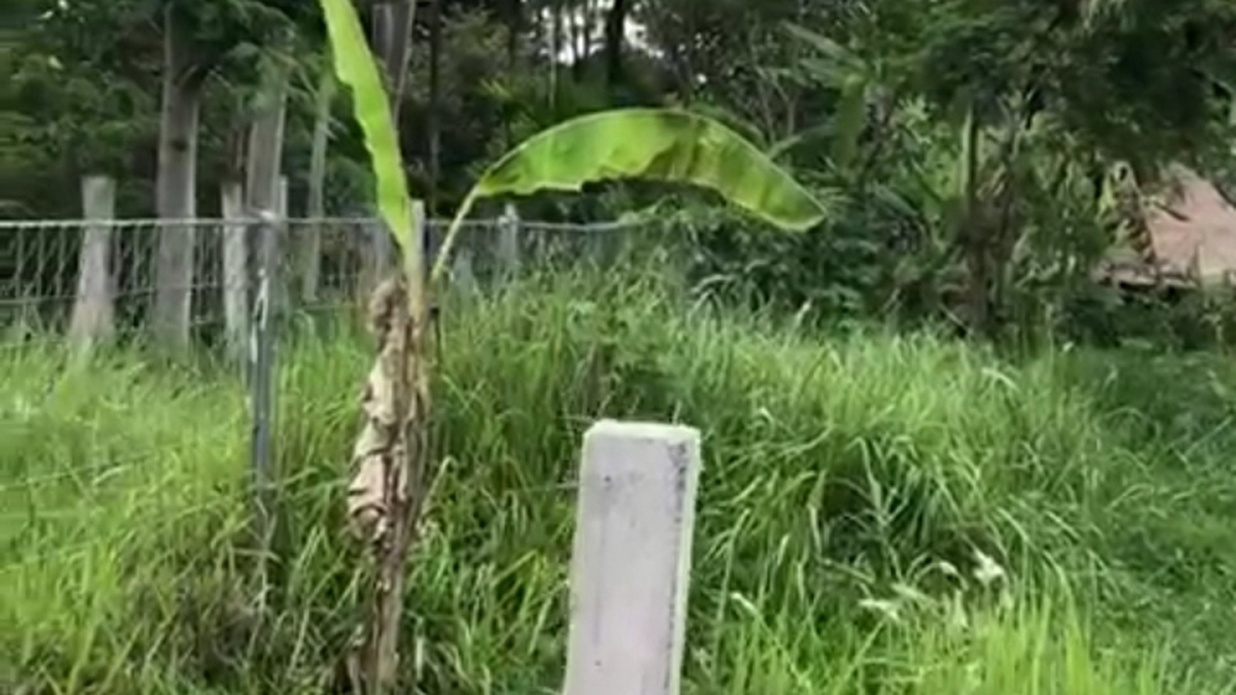 972 Sq m of Freehold Land with Amazing Ricefield Views and River Located Pejeng Ubud Bali