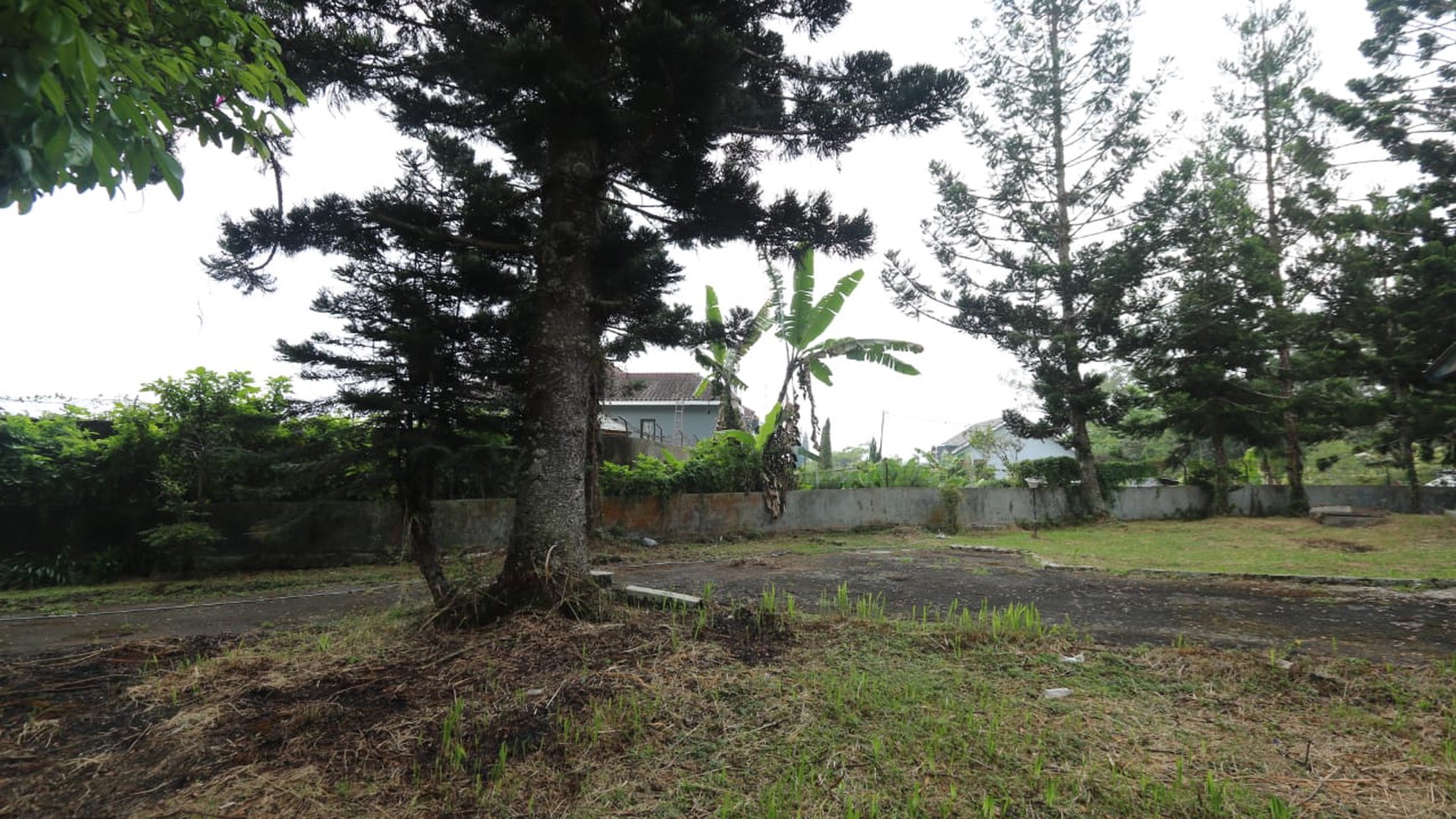 VILLA HITUNG TANAH DI LOKASI TERBAIK DI CIMACAN CIPANAS, MOUNTAIN VIEW