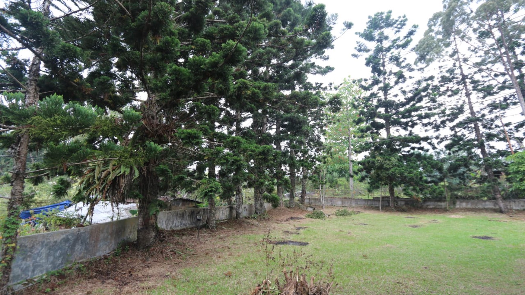 VILLA HITUNG TANAH DI LOKASI TERBAIK DI CIMACAN CIPANAS, MOUNTAIN VIEW