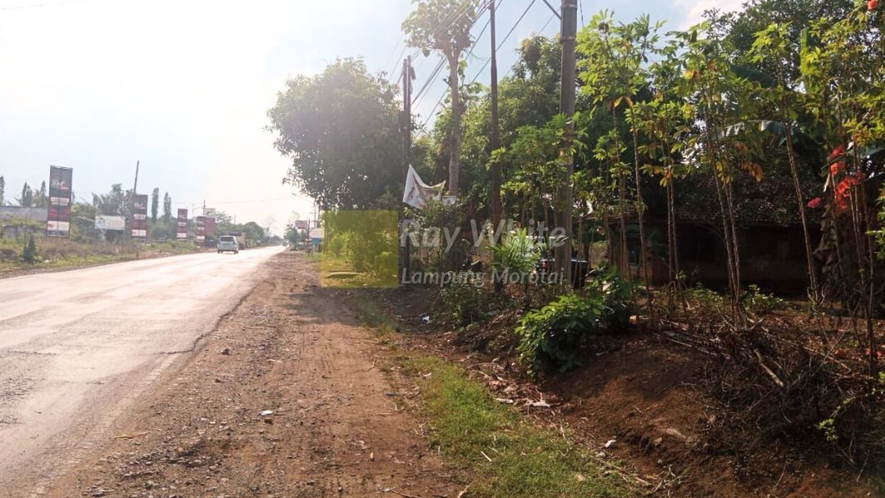 Dijual Cepat Tanah  Bonus Bangunan