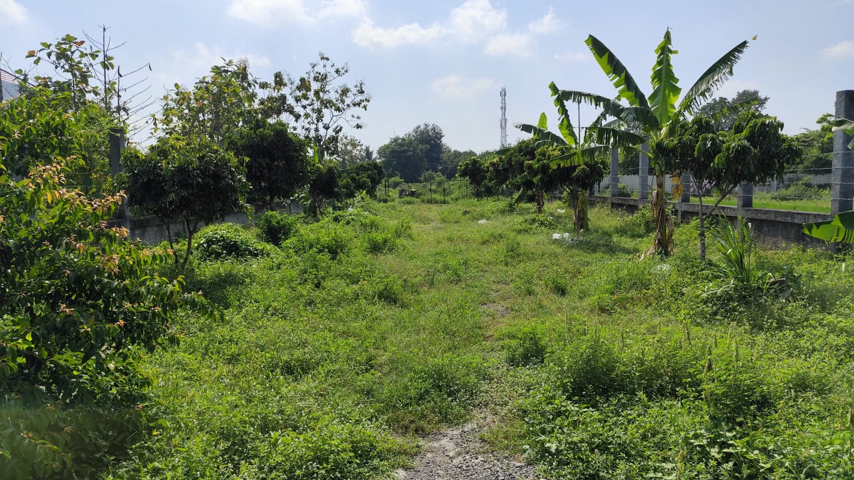 Tanah Luas 4600 Meter Persegi Lokasi Trihanggo Gamping Sleman 