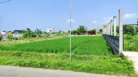 Tanah Luas 4600 Meter Persegi Lokasi Trihanggo Gamping Sleman 