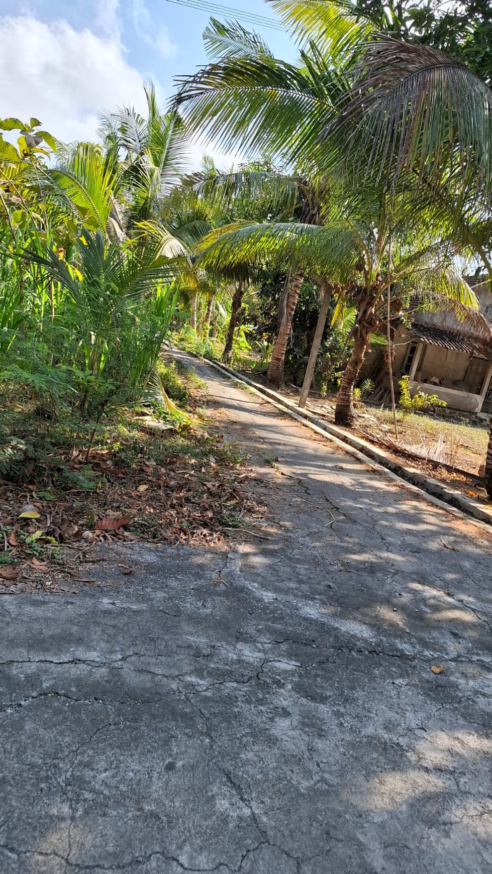 Tanah luas 2491 Meter Persegi Lokasi Daerah Wate Kulon Progo 