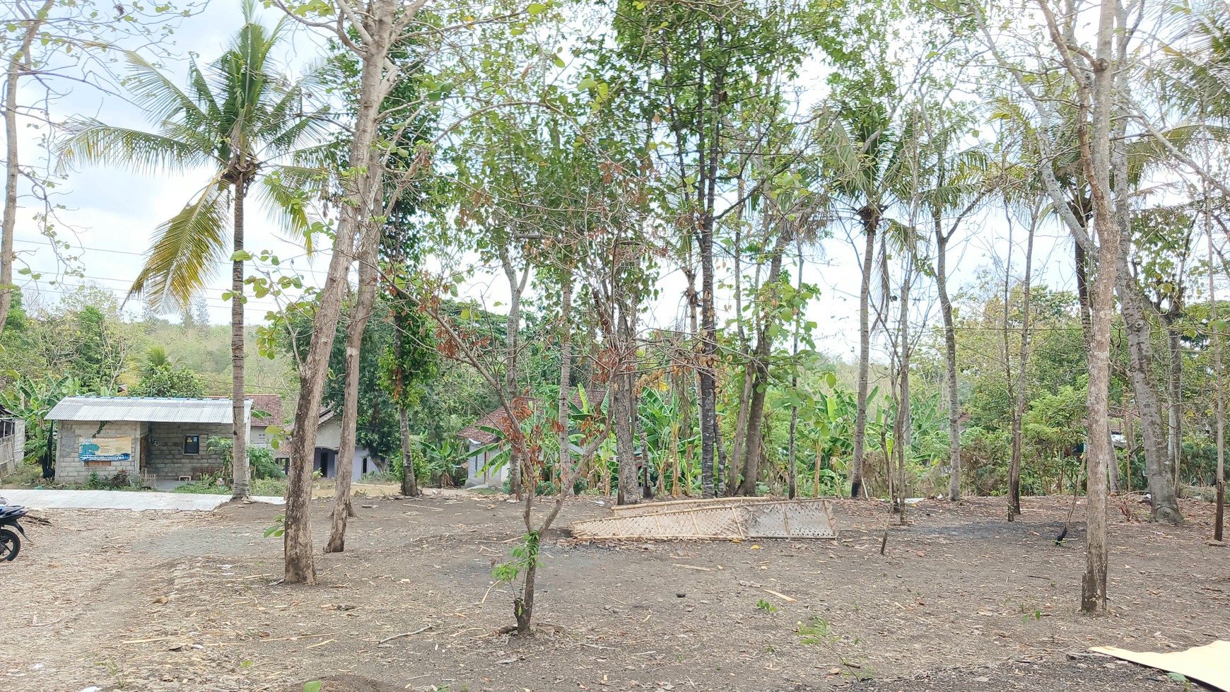 Tanah Pekarangan Luas 495 Meter Persegi Lokasi Dekat SMA N 1 Pajangan Bantul