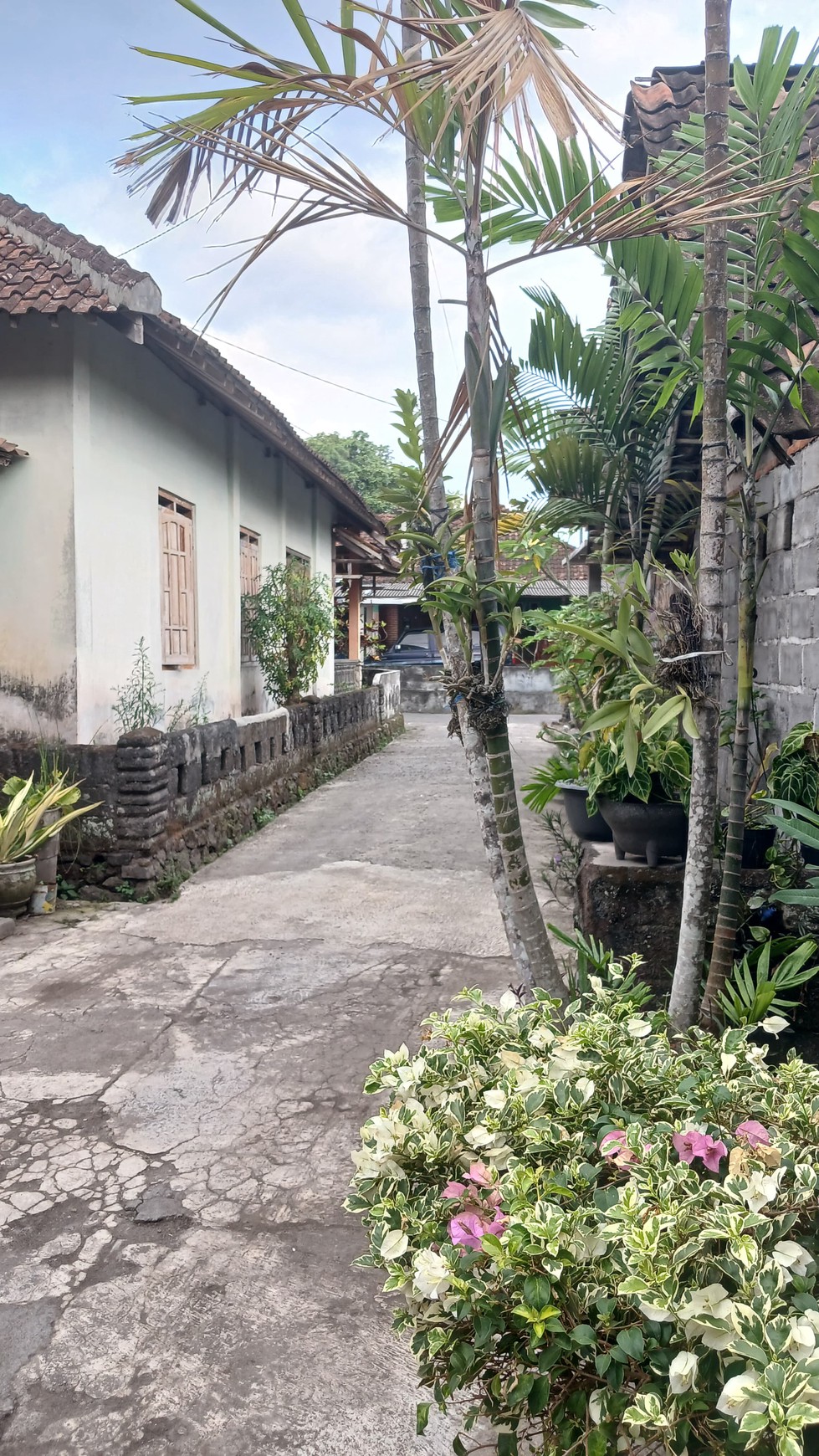 Rumah Tinggal Cocok Untuk Keluarga Lokasi Dekat Sleman City Hall 