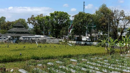 Tanah Sawah Luas 779 Meter Persegi Lokasi di Jl Raya Secang-Temanggung 