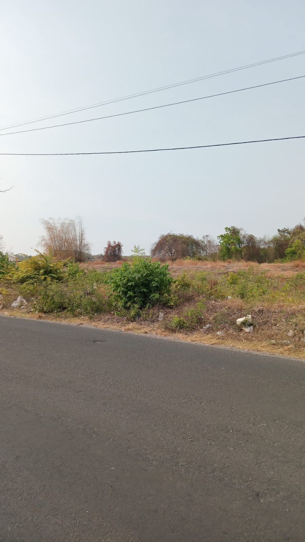 Dijual Tanah Cocok untuk Industri dan Gudang di Raya Bungah Gresik Dekat JIIPE dan GEM CITY