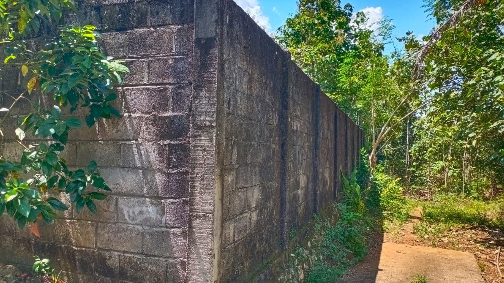 Tanah Desa Sejati Trukan, Sleman Yogyakarta