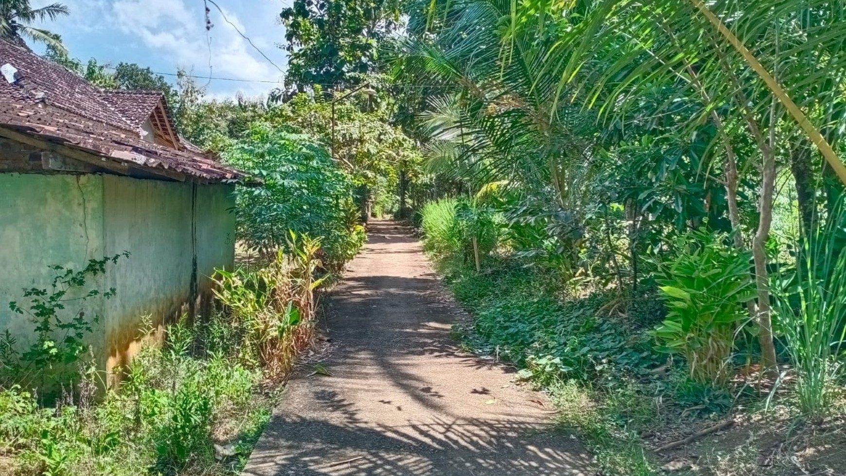 Tanah Desa Sejati Trukan, Sleman Yogyakarta