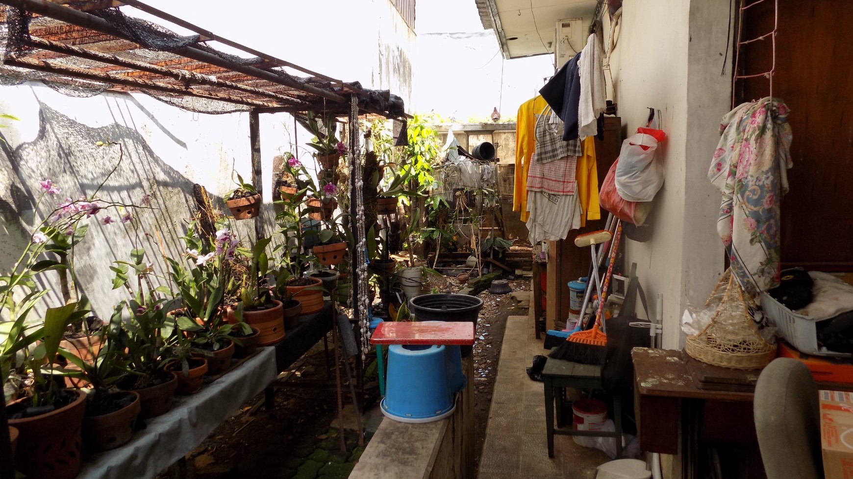 Rumah Lama Hitung Tanah Lokasi Strategis di Jati Padang, Pasar Minggu