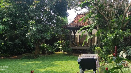 Rumah Asri dan Nyaman Lokasi Strategis di Cilandak, Jeruk Purut Harga Dibawah Pasaran.