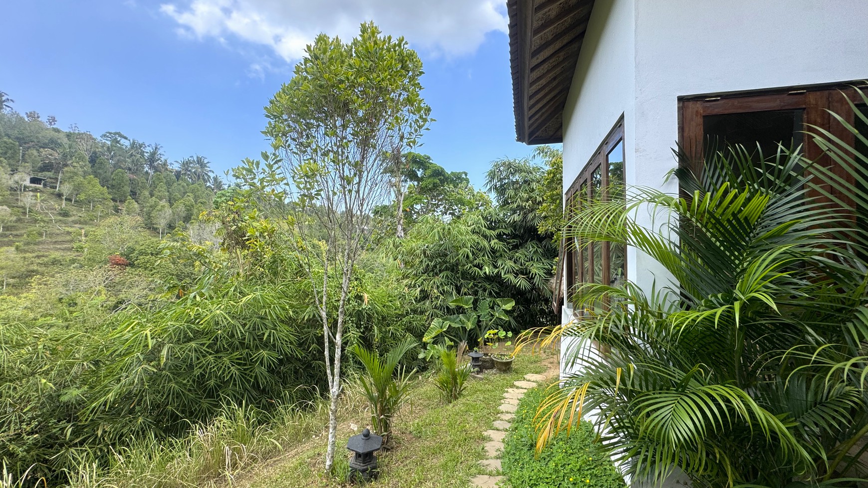 CHARMING 3-BEDROOM HOUSE WITH NATURAL VIEWS, COOL WEATHER, AND CONVENIENCE