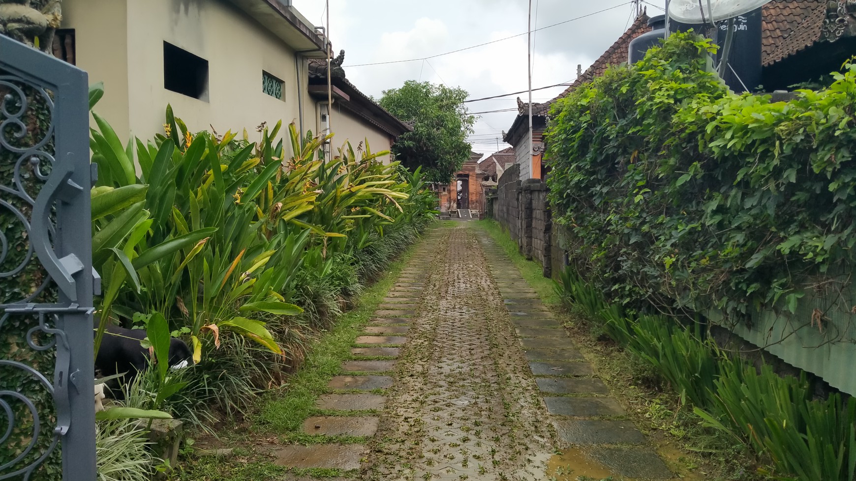 2 Bedroom Villa for Monthly Rent with Lush Green Views - 10 Minutes from Ubud Center