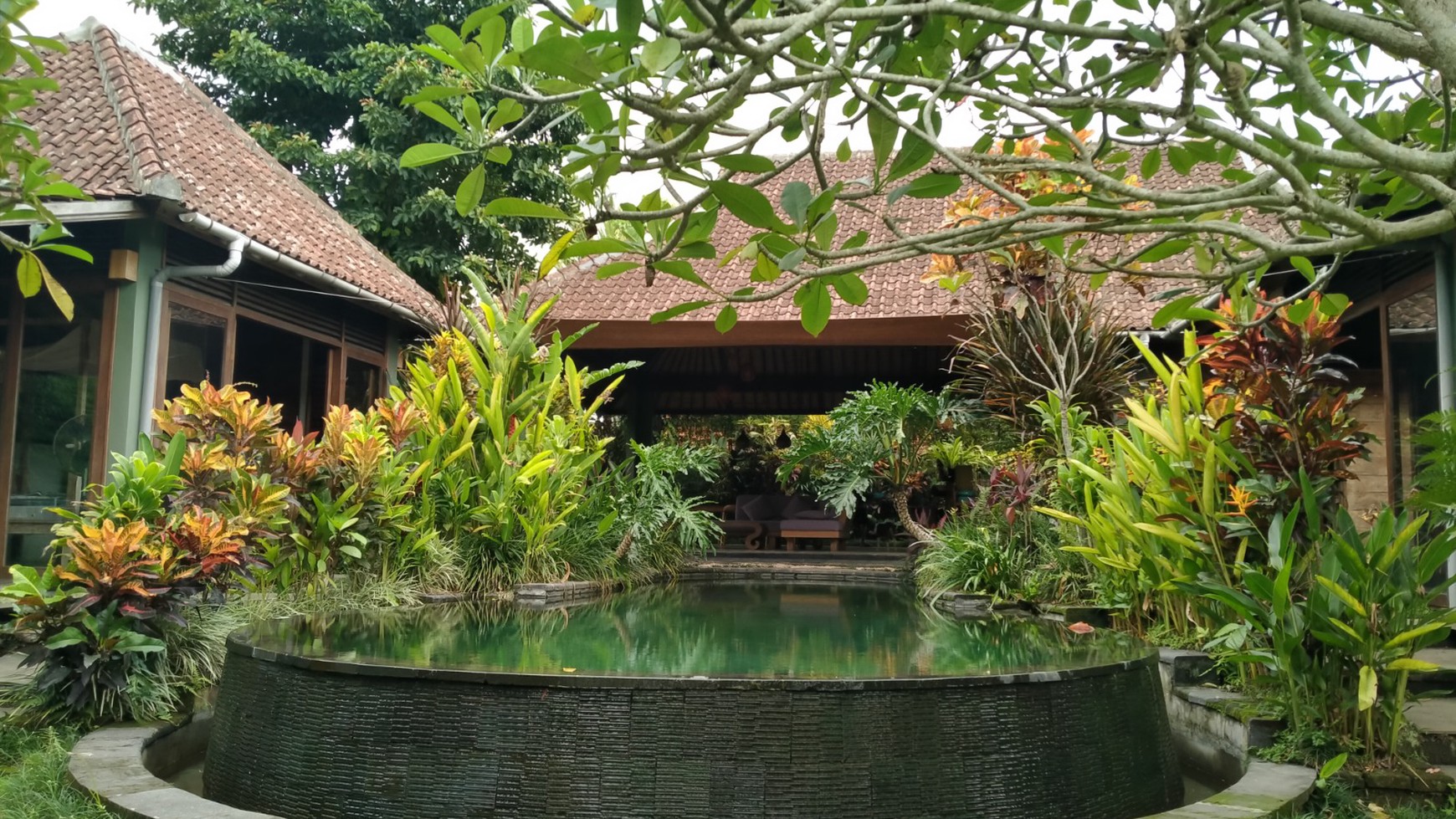 2 Bedroom Villa for Monthly Rent with Lush Green Views - 10 Minutes from Ubud Center