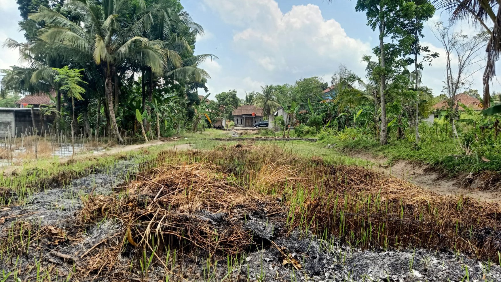 Tanah Sawah Dekat RSUD Sleman