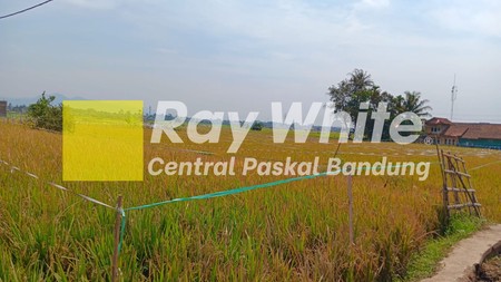 Tanah Sawah di Paseh Majalaya