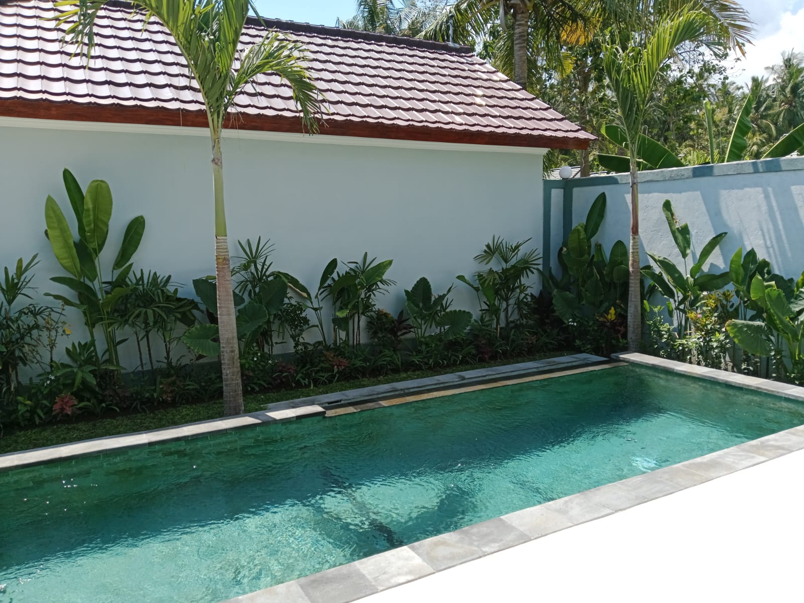 Twin Villas for One Price in Lovina - A Rare Investment Opportunity