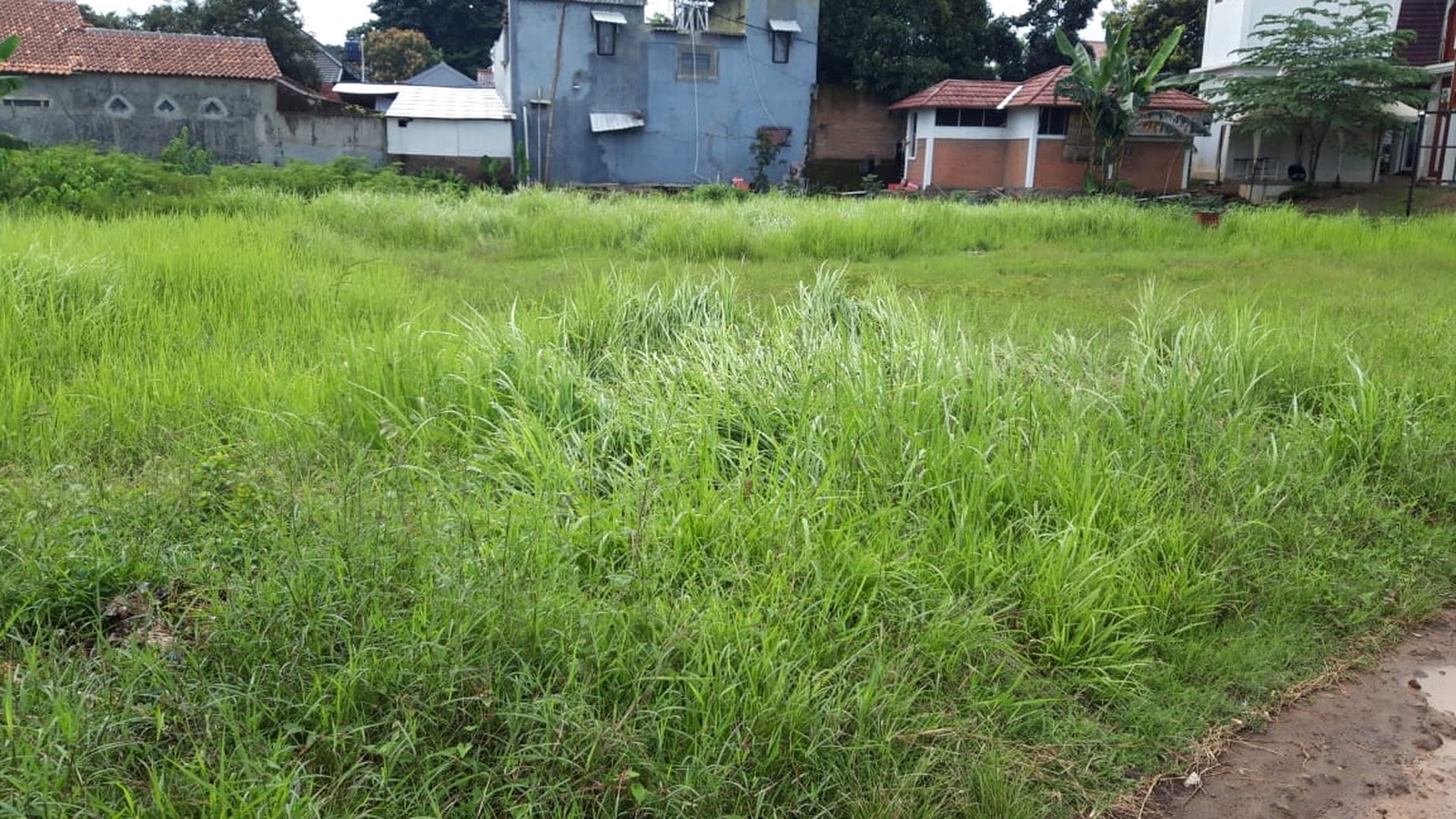 Tanah Siap Bangun di jl Raya Kalikoa Cirebon