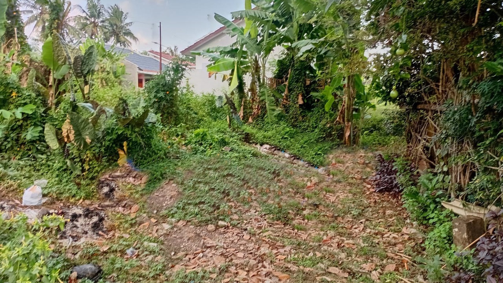 Tanah 215 Meter Persegi Dekat Artos Mall Mertoyudan Magelang