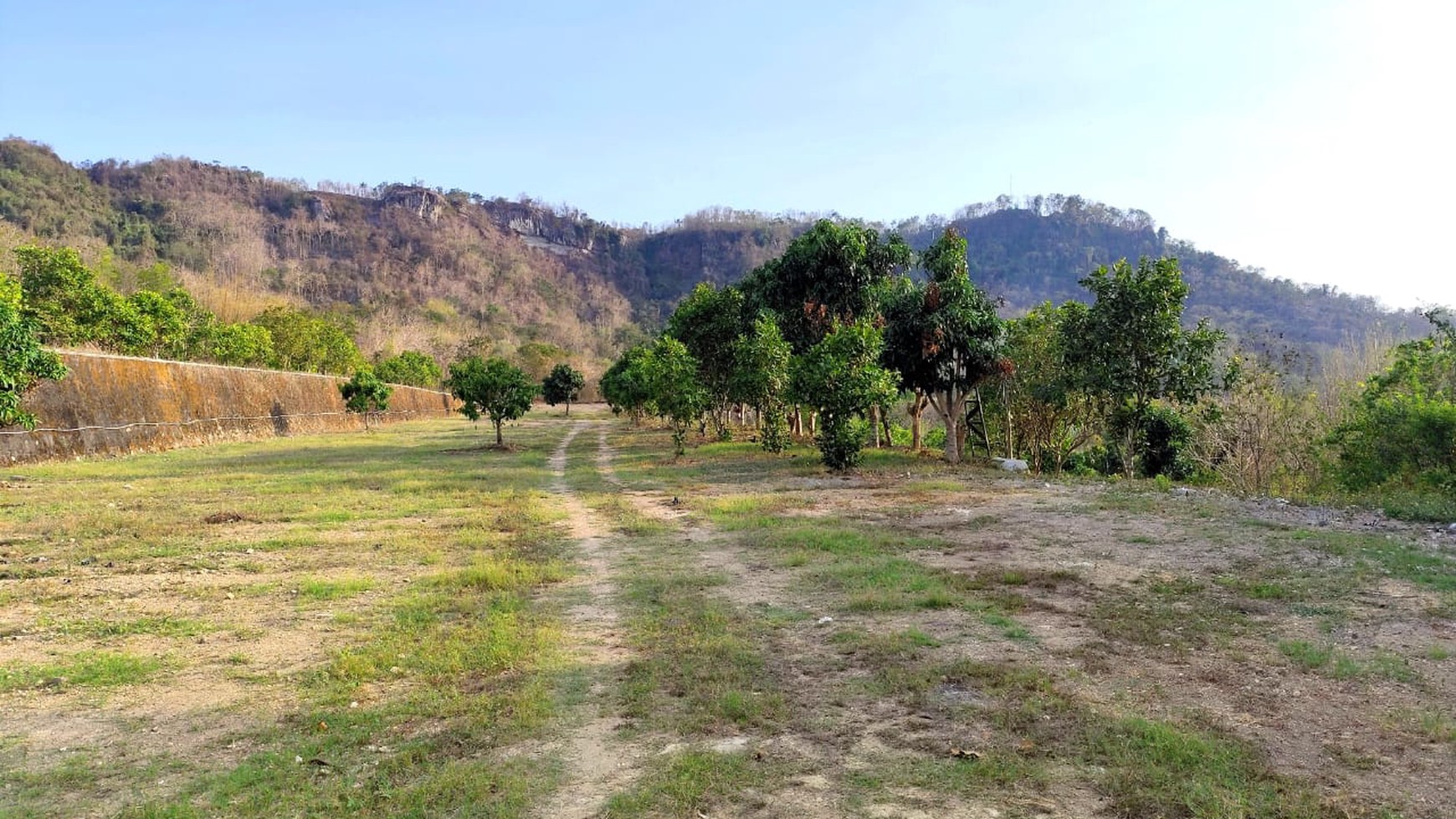 Tanah Pekarangan Seluas 1444 Meter Persegi Lokasi di Daerah Sitimulyo Piyungan 