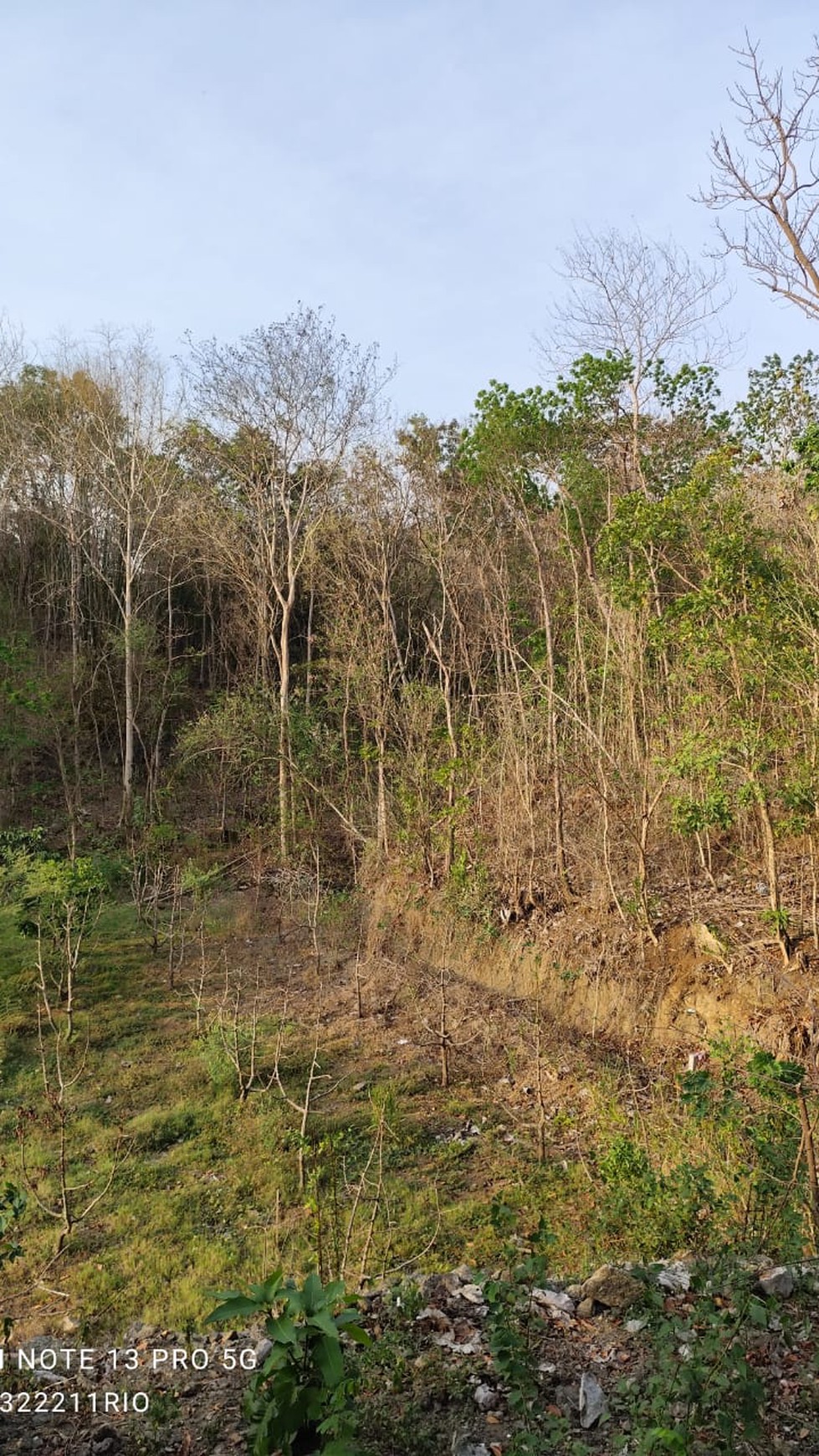 Tanah Pekarangan Seluas 1444 Meter Persegi Lokasi di Daerah Sitimulyo Piyungan 