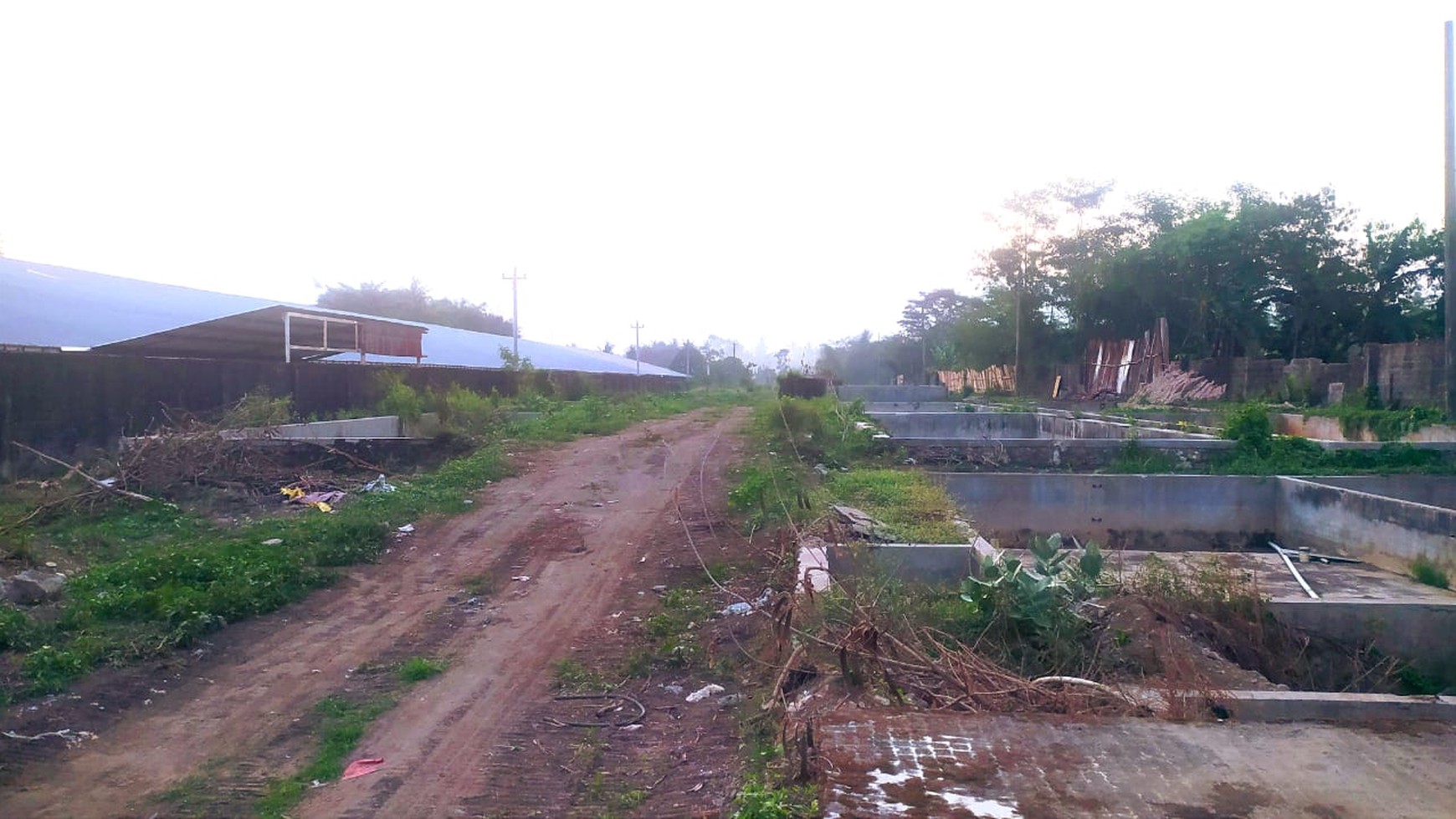 Tanah Pekarangan 18.000 Meter Persegi Lokasi Dekat Kawasan Industri Sleman 