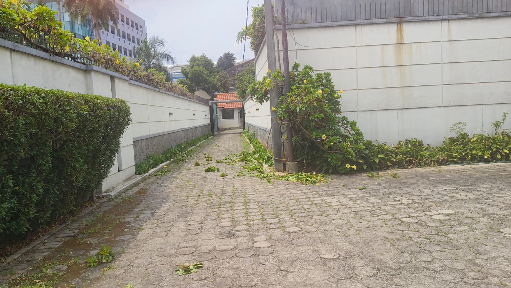 Rumah Mewah 2 Lantai Halaman luas di Cilandak, Jakarta Selatan