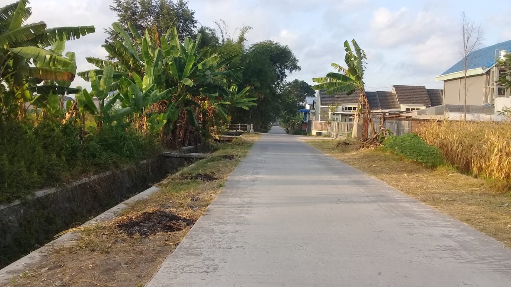 Tanah 961 Meter Persegi Di Dekat Kampus Sanata Dharma Maguwoharjo Depok Sleman