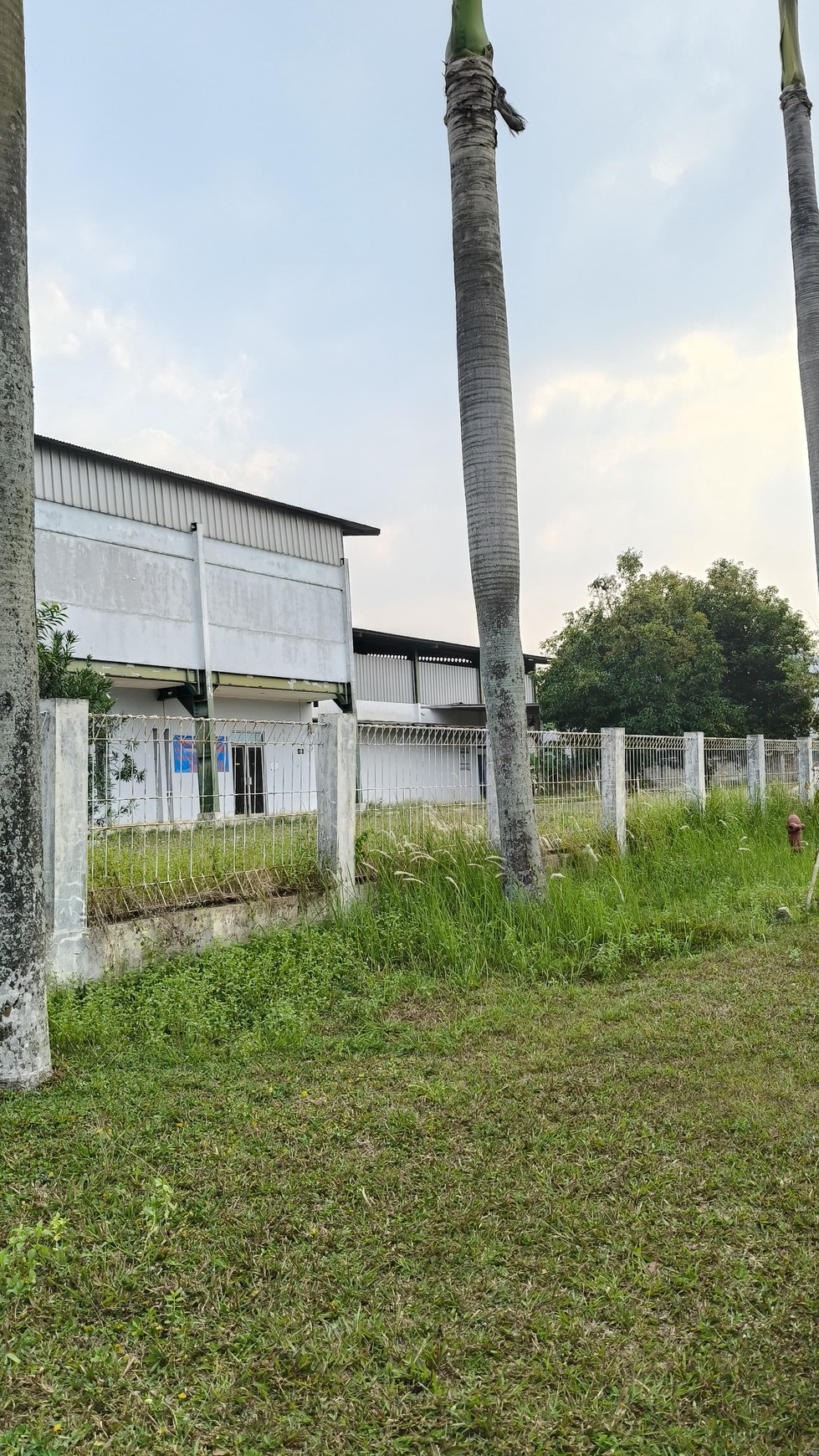 Kavling Siap Bangun Di Taman Tekno BSD Tangerang Selatan