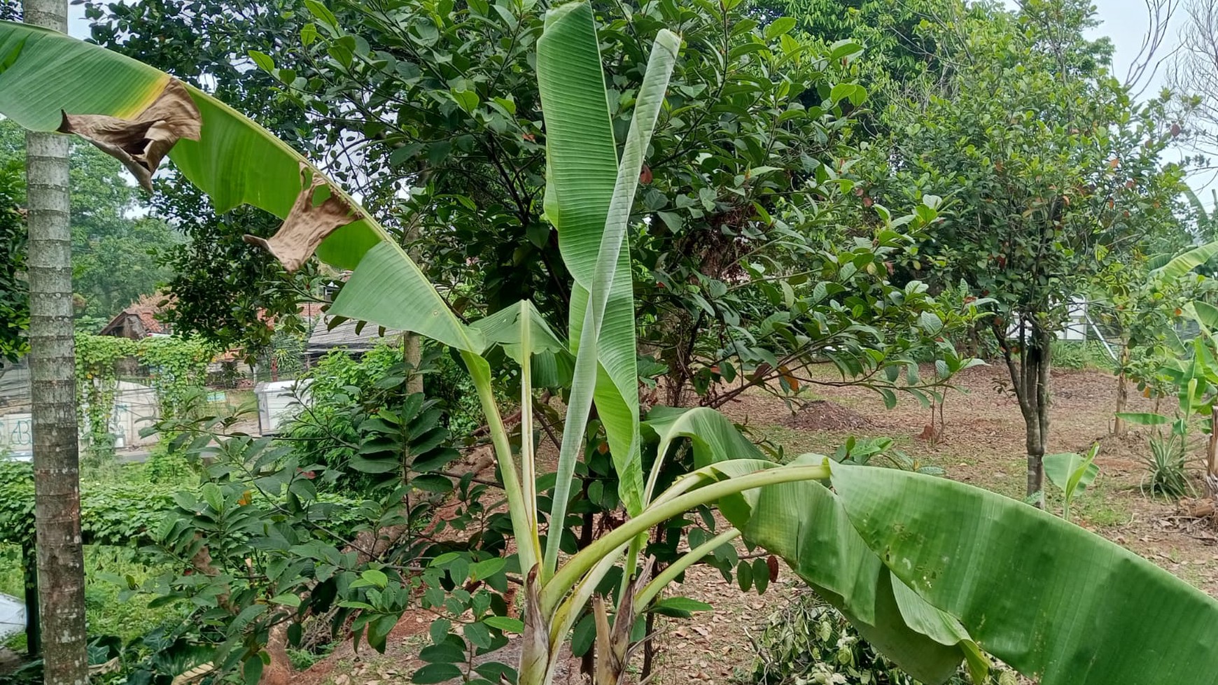 Kavling Siap Bangun dan Cocok untuk Minii Cluster @Sawangan