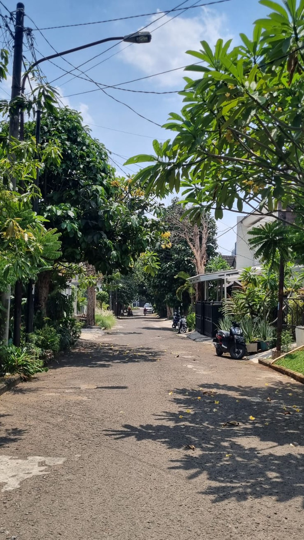 Rumah Bintaro Jaya Sektor 5 dengan Hunian Asri & Lokasi Strategis