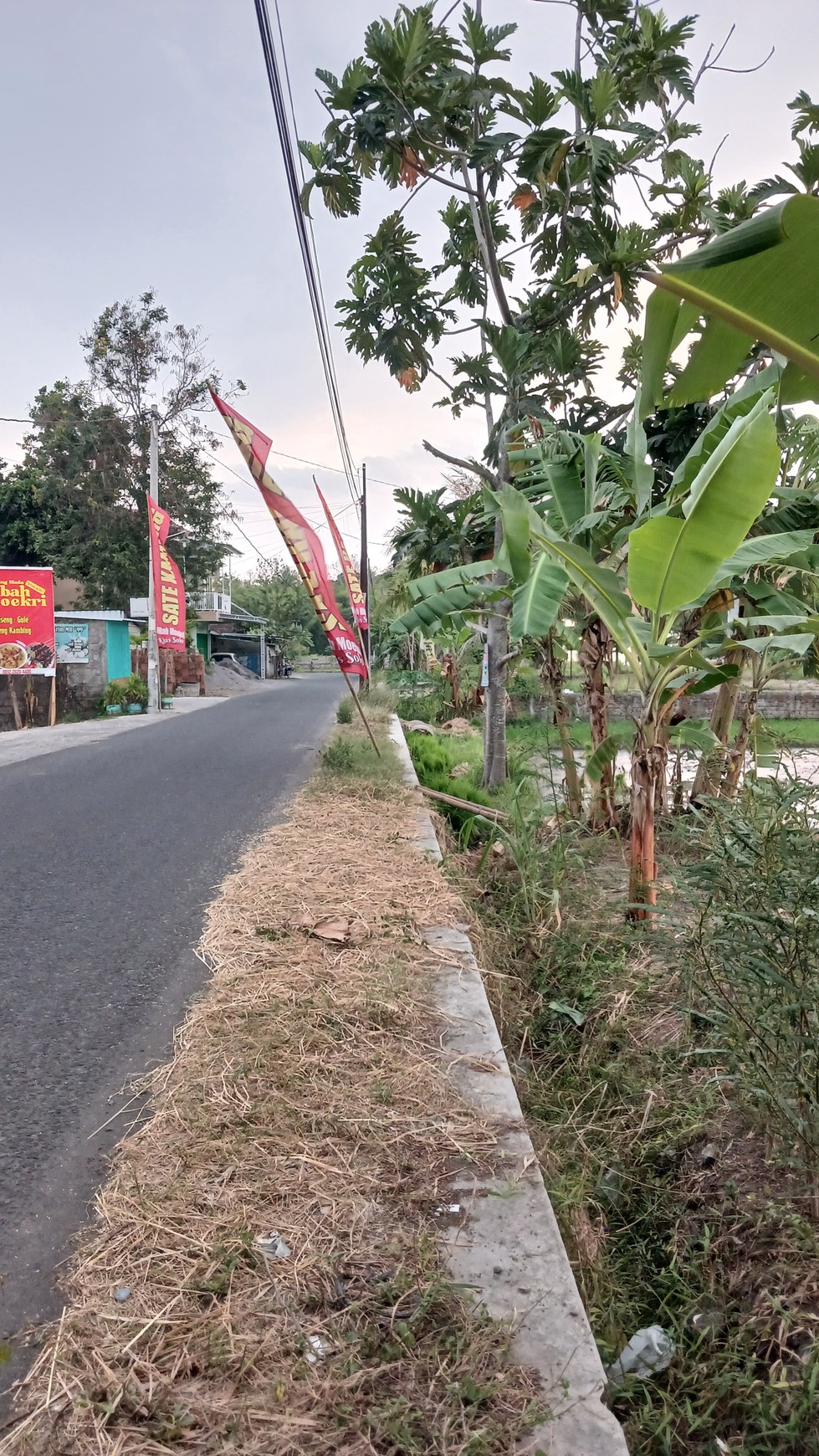 Tanah Sawah Luas 2086 Meter Persegi Lokasi Kasihan Bantul 