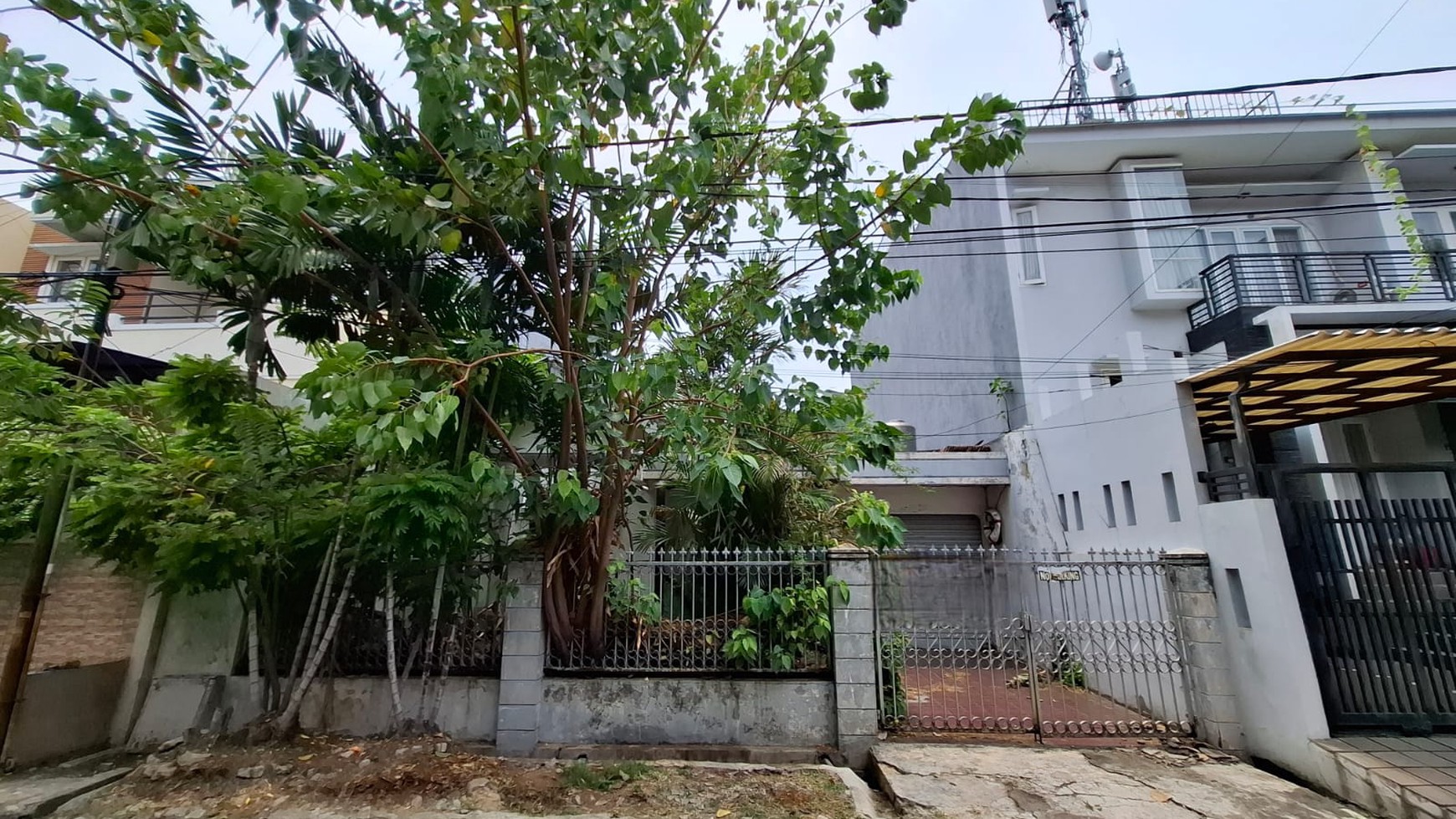 Rumah Kelapa Nias, Kelapa Gading