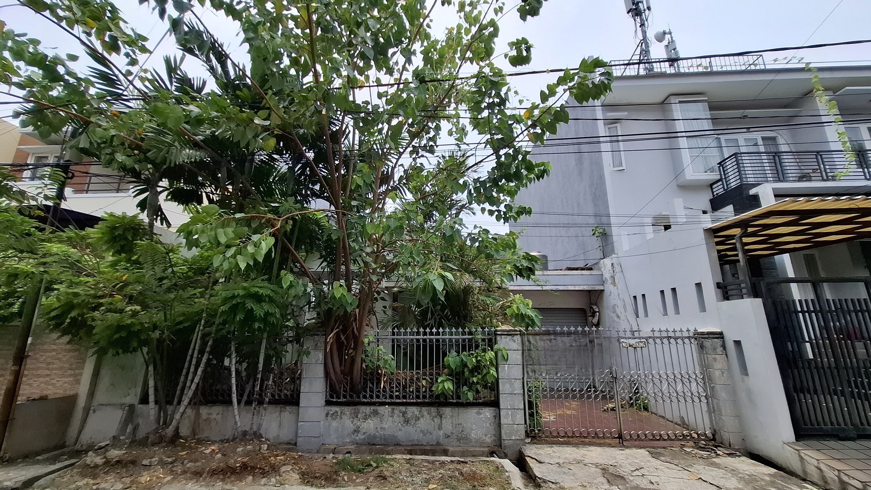 Rumah Kelapa Nias, Kelapa Gading