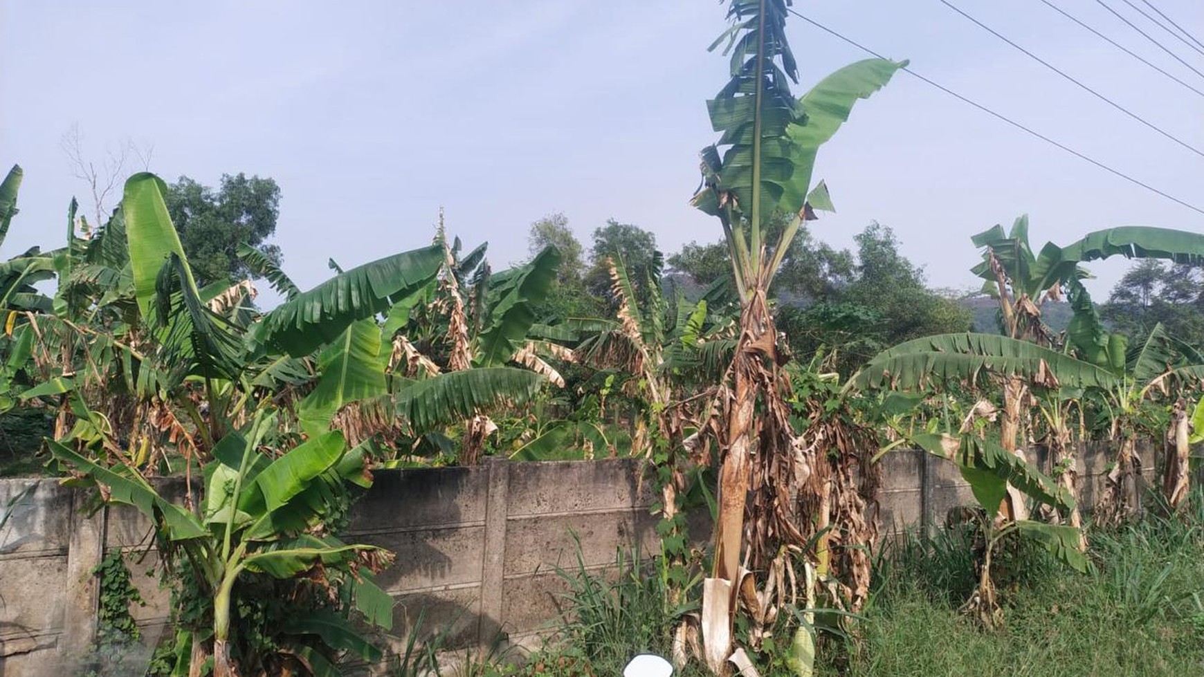 Tanah kosong di Jalan Soekarno-Hatta Baypass Kec.Panjang Bandarlampung 