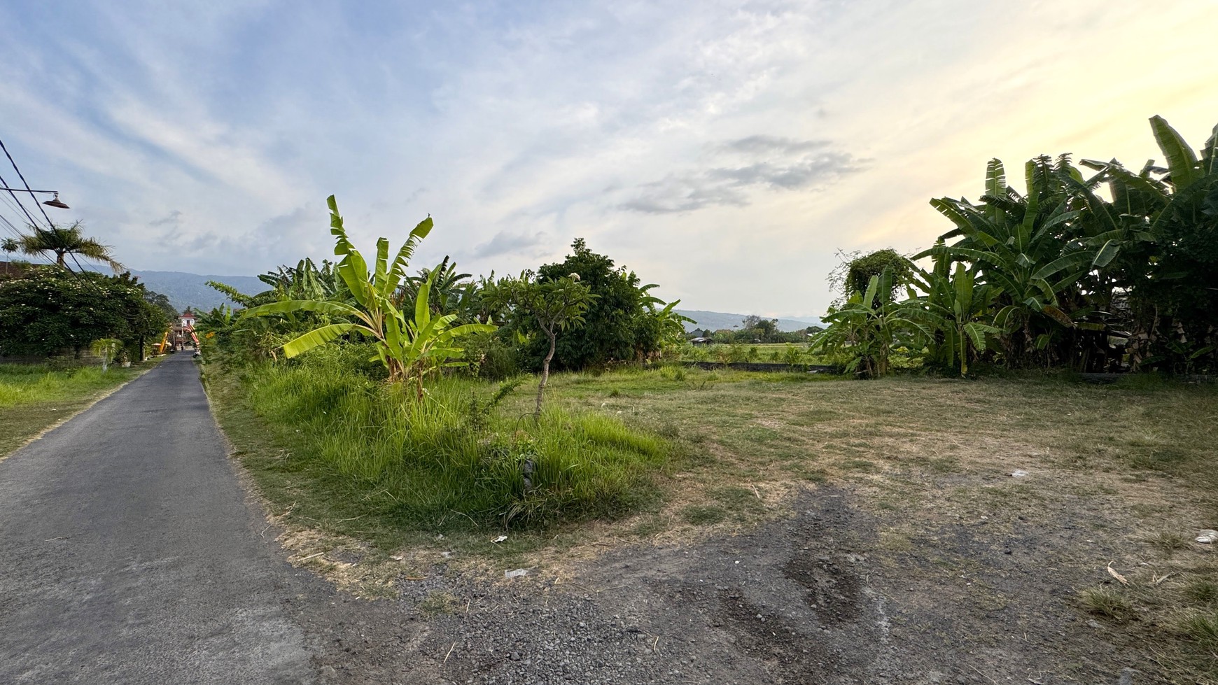 RARE LAND FOR SALE IN CENTRAL LOVINA JUST 100 METERS FROM THE BEACH