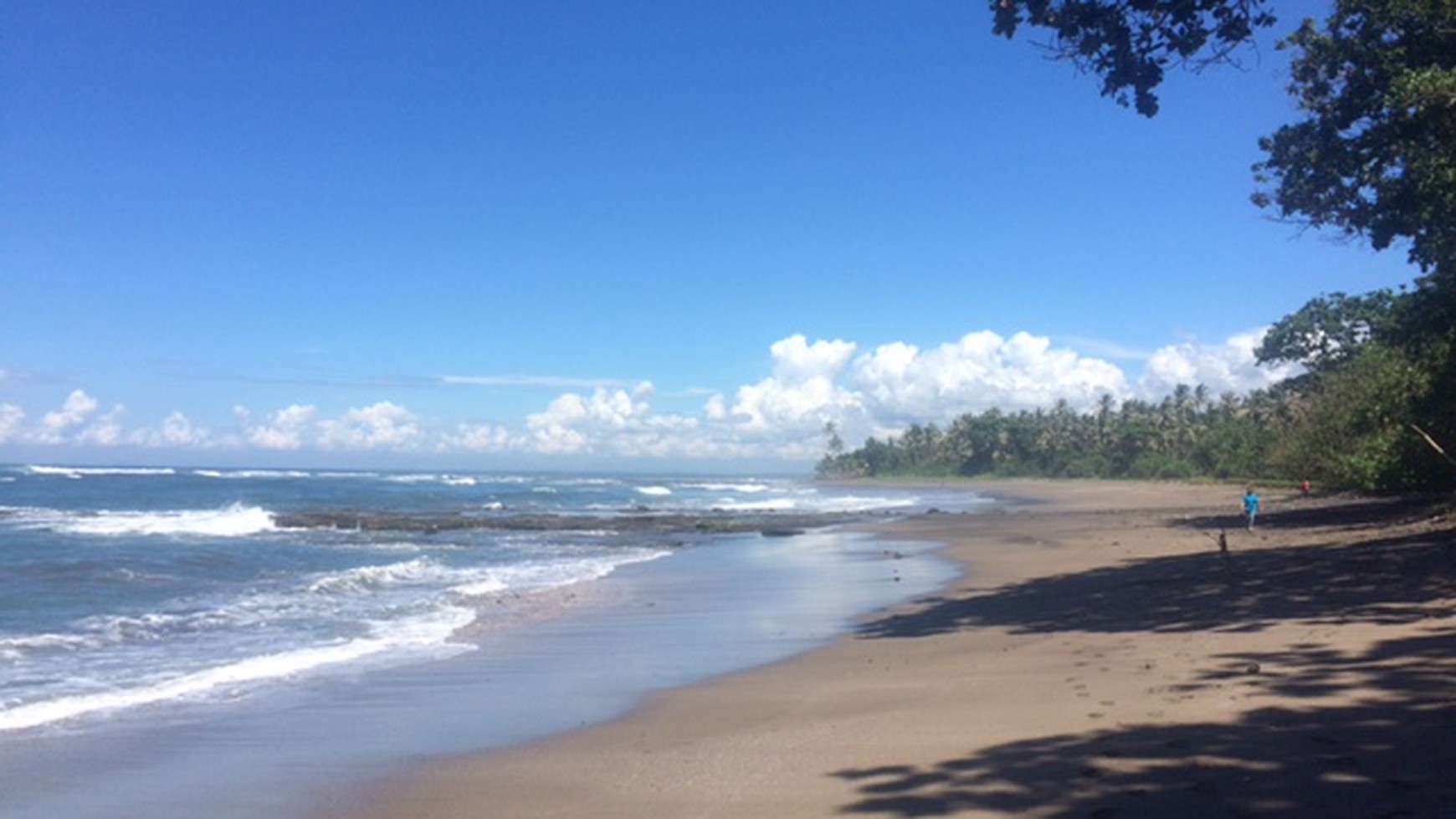 Amazing 37,916 sqm tourism pink zoned beachfront freehold land near Balian & Medewi Surfing