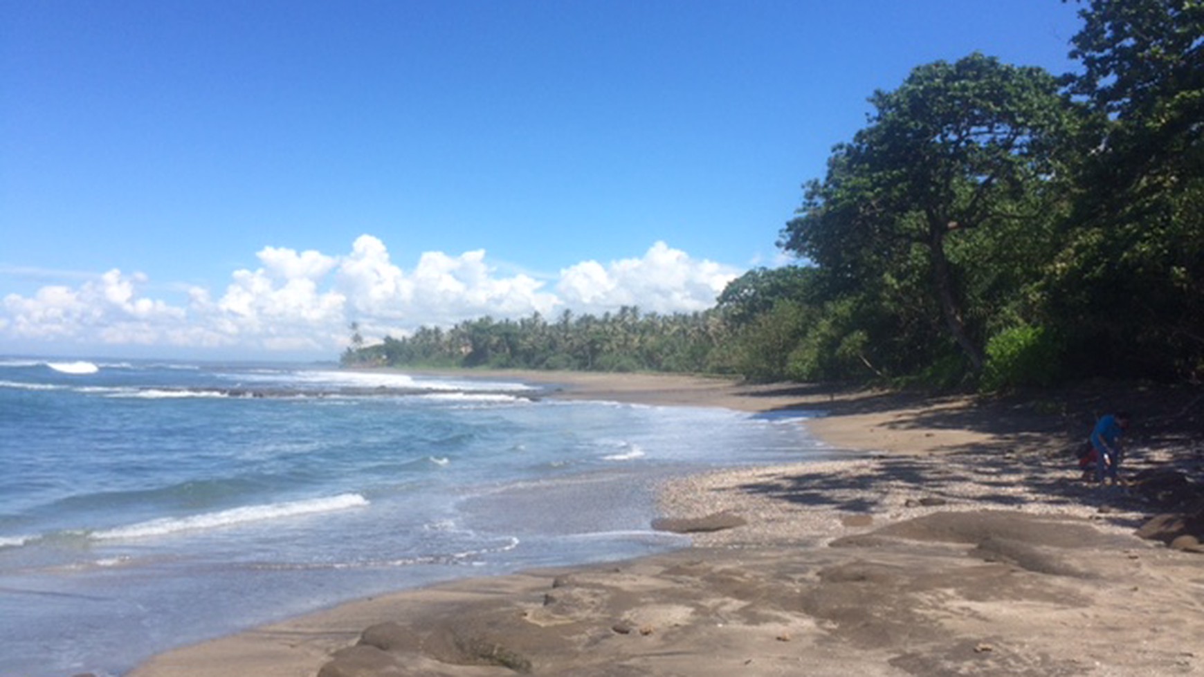 Amazing 37,916 sqm tourism pink zoned beachfront freehold land near Balian & Medewi Surfing