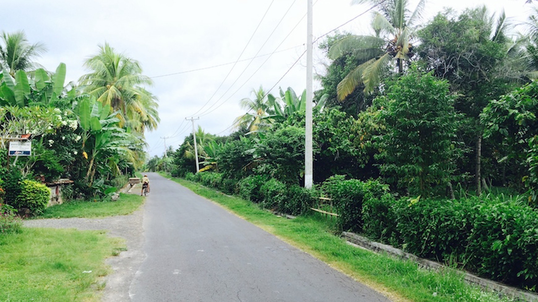 Amazing 37,916 sqm tourism pink zoned beachfront freehold land near Balian & Medewi Surfing