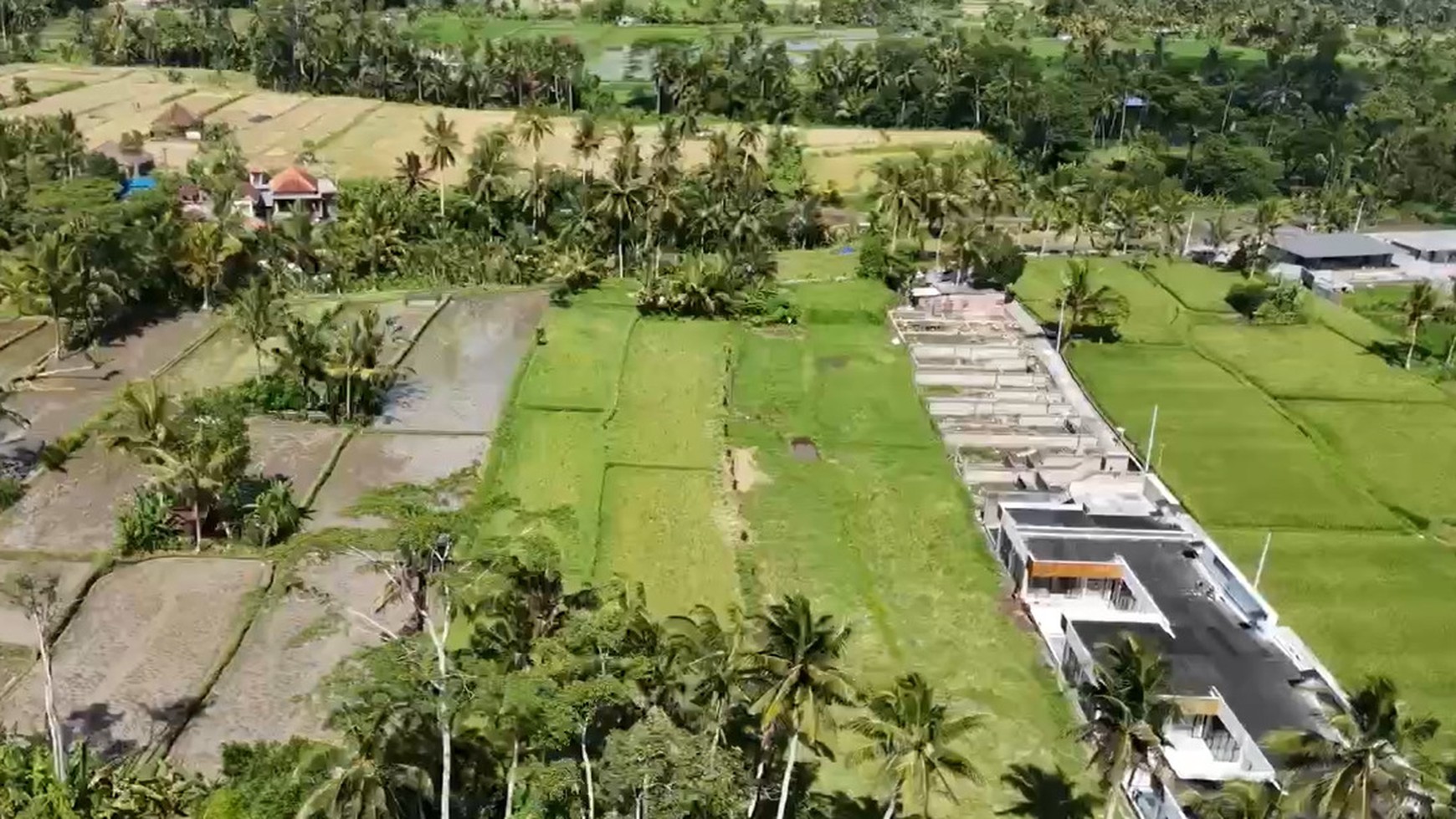 Prime 3.130 sqm of Leasehold Land with Stunning Rice Field Views in Ubud - Walking Distance from Empathy School