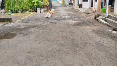 Rumah Bagus Murah Wilayah Masangan Wetan, Sidoarjo