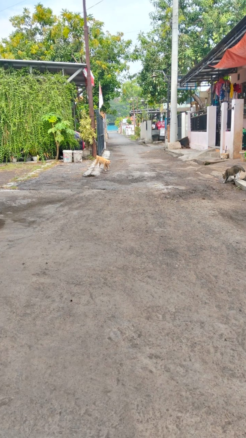 Rumah Bagus Murah Wilayah Masangan Wetan, Sidoarjo