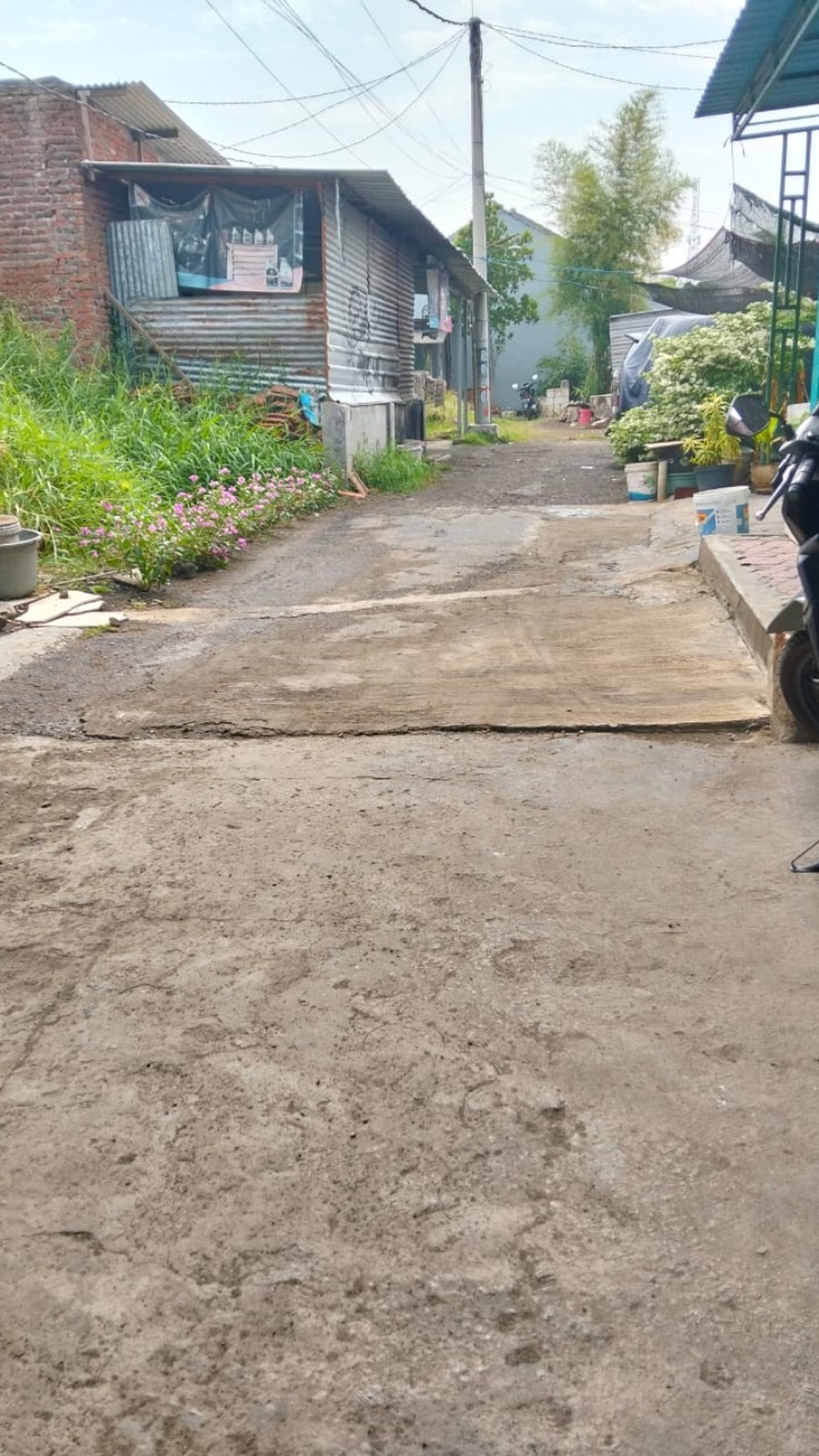 Rumah Bagus Murah Wilayah Masangan Wetan, Sidoarjo