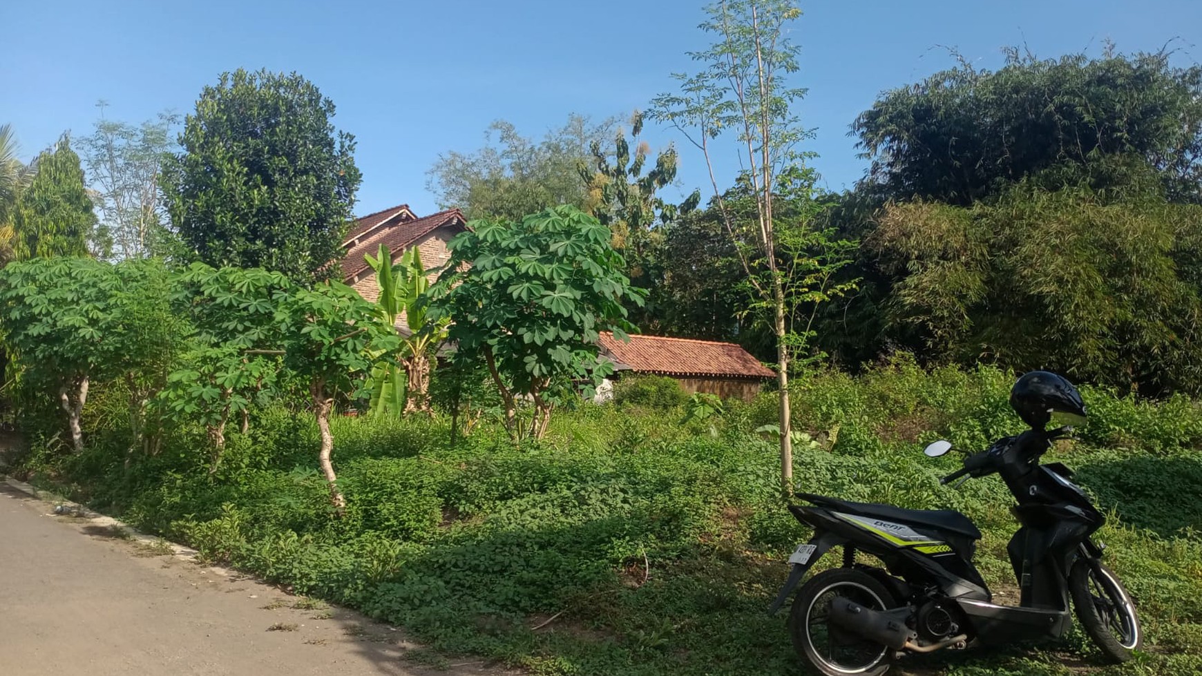 Tanah Luas 821 Meter Persegi Lokasi Dekat Wisata Candi Borobudur 